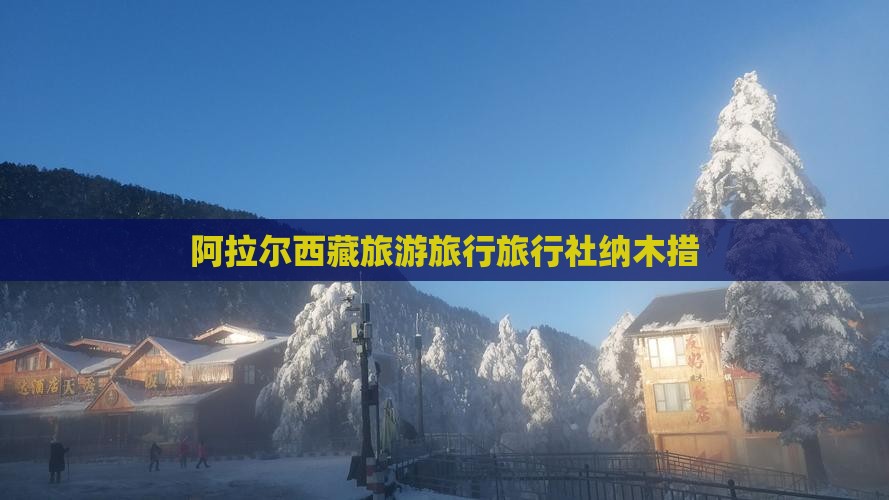 阿拉尔去西藏纳木措旅行社