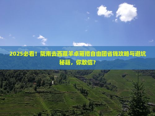 陇南去西藏羊卓雍措自由团
