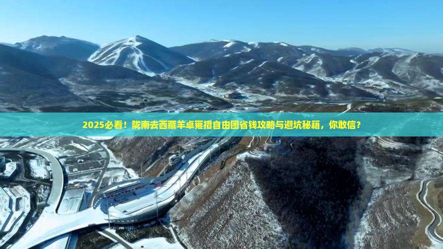 陇南去西藏羊卓雍措自由团