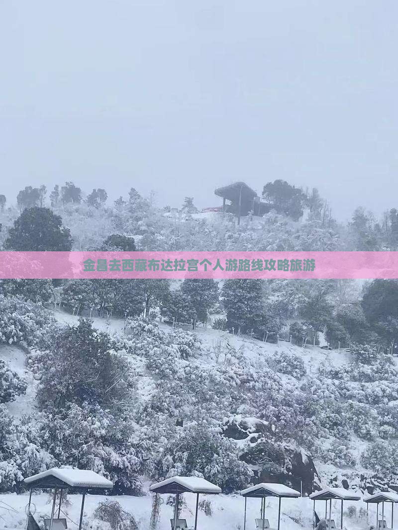 金昌去西藏布达拉宫个人游