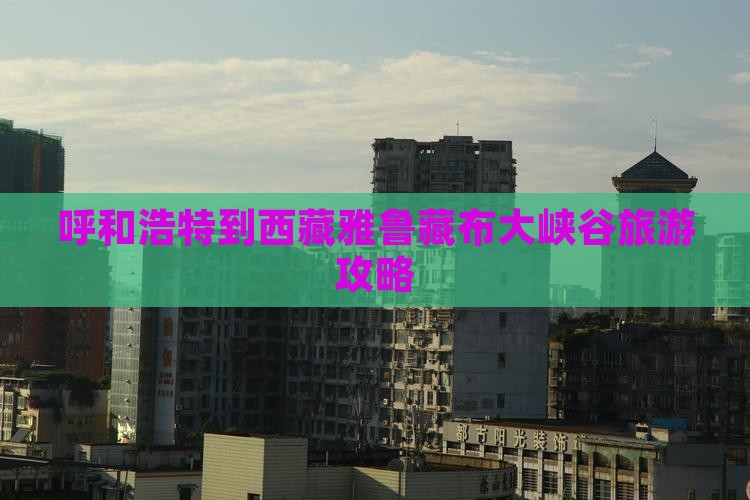 呼和浩特到西藏雅鲁藏布大峡谷旅游