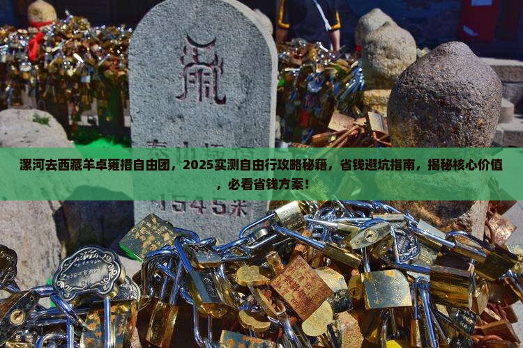 漯河去西藏羊卓雍措自由团