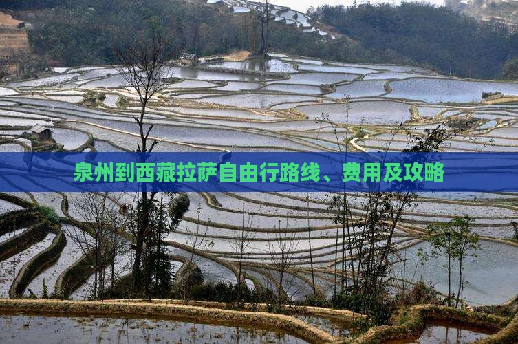 泉州到西藏拉萨自由行