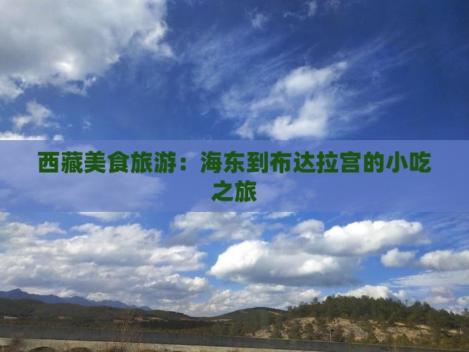 海东到西藏布达拉宫旅游小吃