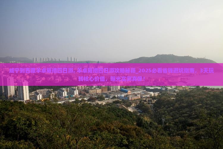 咸宁到西藏羊卓雍措四日游