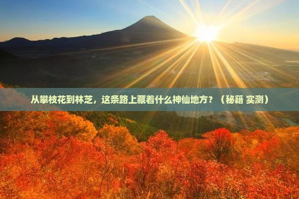 攀枝花去西藏林芝必去地