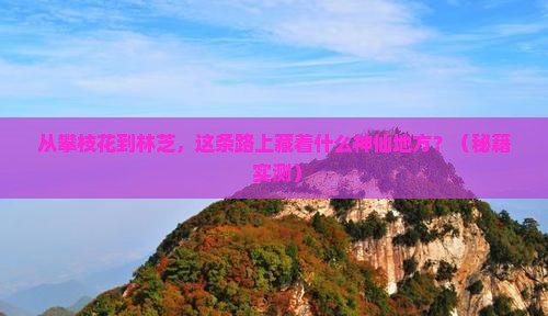 攀枝花去西藏林芝必去地