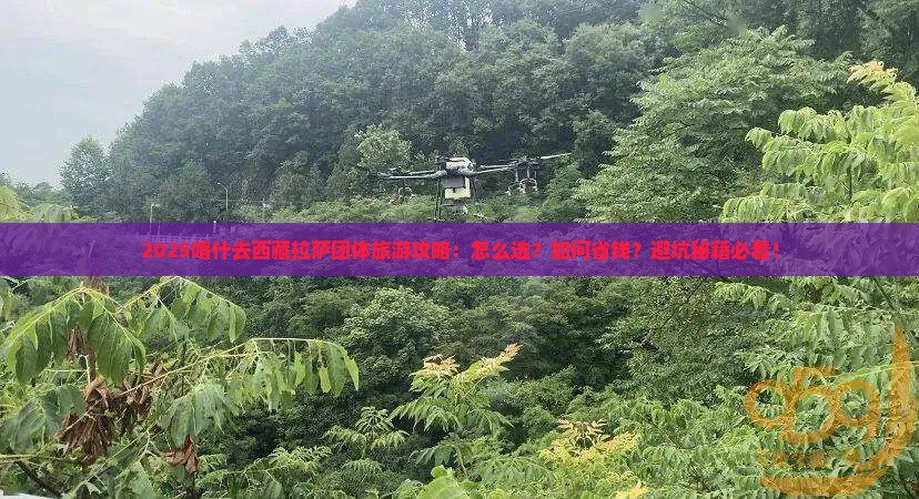 喀什去西藏拉萨团体旅游 喀什去西藏拉萨团体旅游