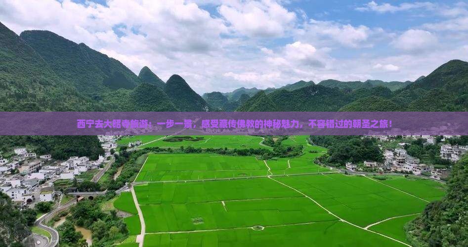 西宁去西藏大昭寺旅游
