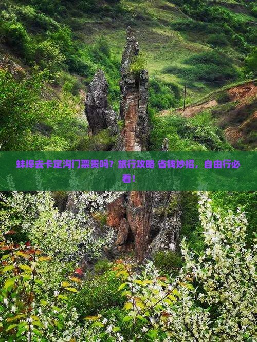 蚌埠去西藏卡定沟门票