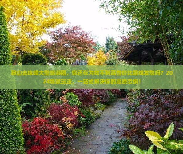 鞍山去西藏珠峰大本营大型旅游团