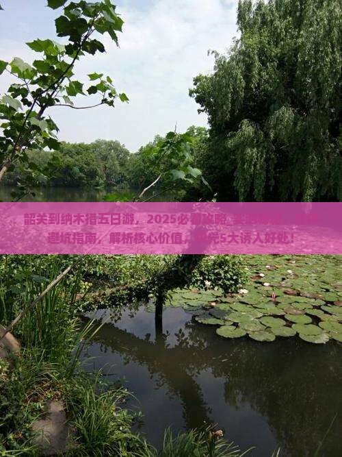 韶关到西藏纳木措五日游