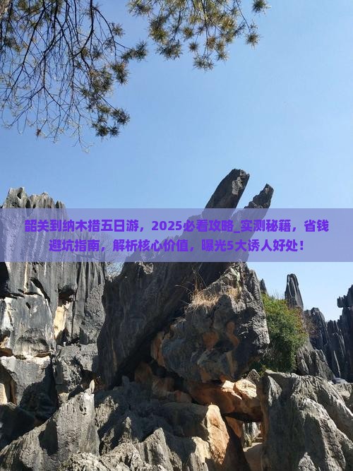 韶关到西藏纳木措五日游