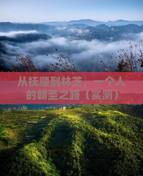 抚顺去西藏林芝个人游