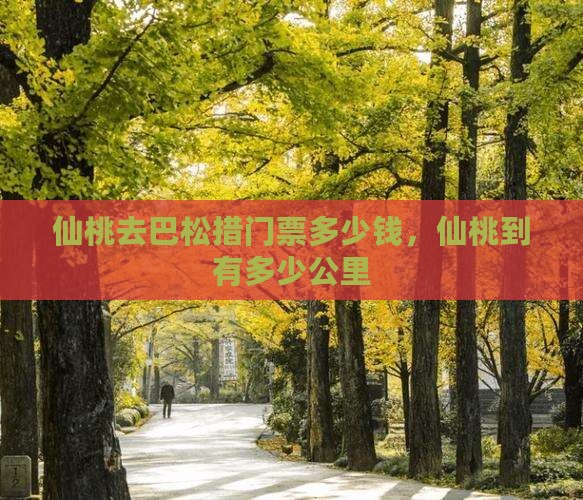 仙桃去西藏巴松措门票