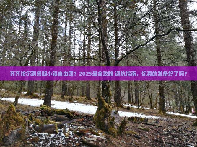 齐齐哈尔到西藏鲁朗小镇自由团