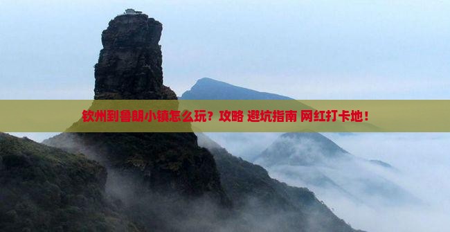 钦州到西藏鲁朗小镇哪里玩