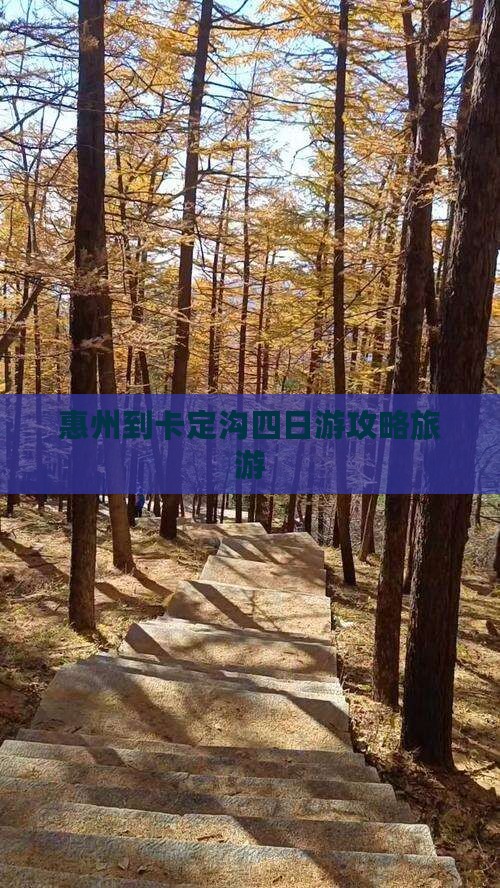 惠州到西藏卡定沟四日游