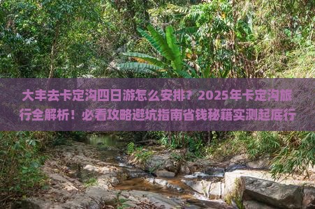 大丰去西藏卡定沟四日游