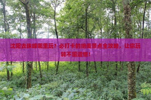 沈阳去西藏珠峰大本营哪里玩