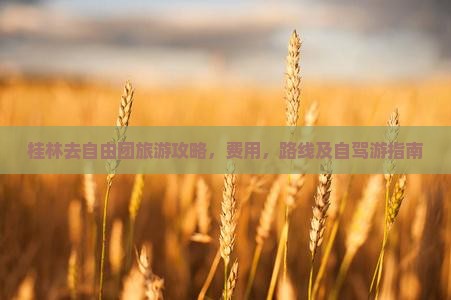 桂林去西藏自由团