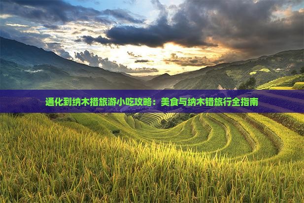 通化到西藏纳木措旅游小吃