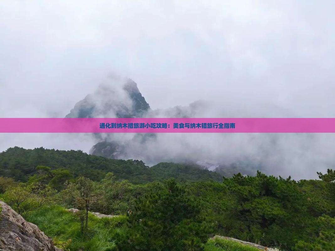 通化到西藏纳木措旅游小吃