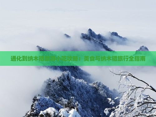 通化到西藏纳木措旅游小吃
