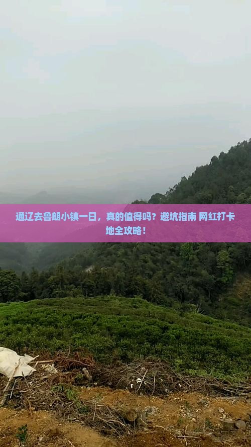 通辽去西藏鲁朗小镇一日