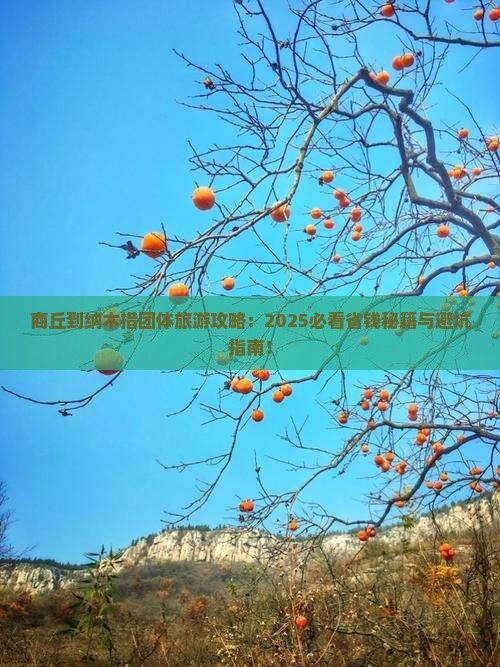 商丘到西藏纳木措团体旅游