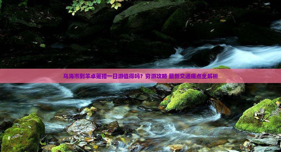乌海市到西藏羊卓雍措一日