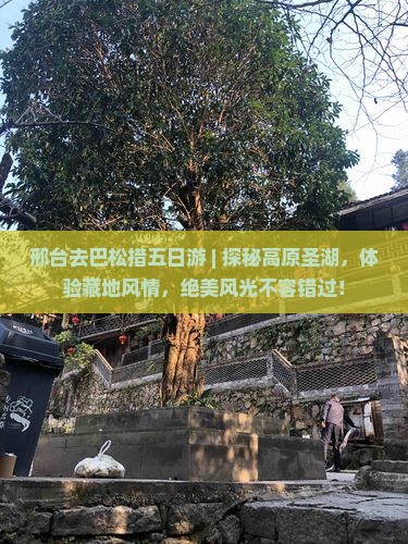 邢台去西藏巴松措五日游