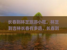 长春到西藏林芝旅游小吃