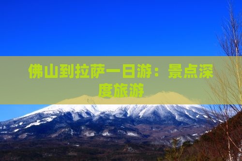 佛山到西藏一日