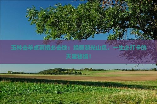 玉林去西藏羊卓雍措必去地