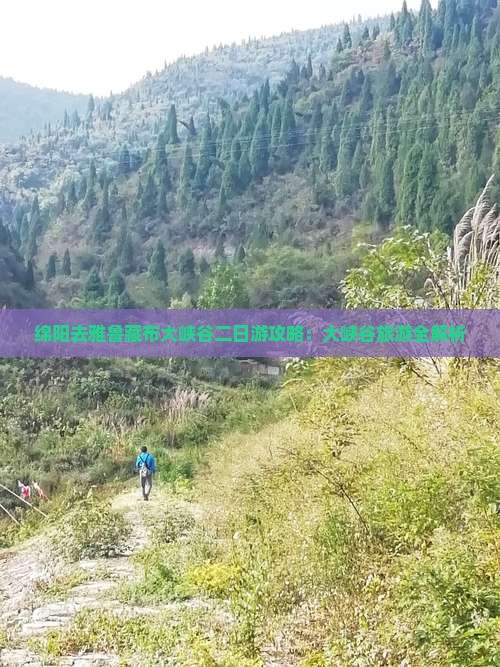 绵阳去西藏雅鲁藏布大峡谷二日游