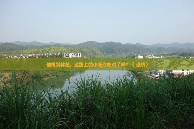 仙桃到西藏林芝旅游小吃