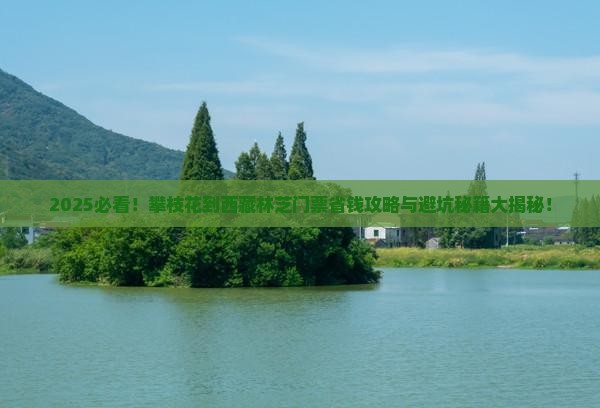 攀枝花到西藏林芝门票