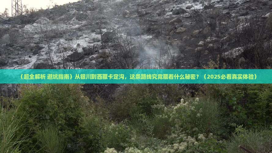 银川去西藏卡定沟一日
