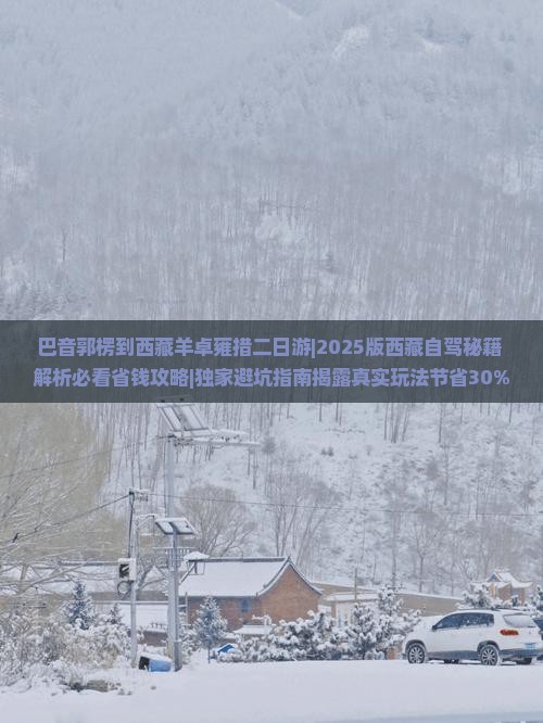 巴音郭楞到西藏羊卓雍措二日游