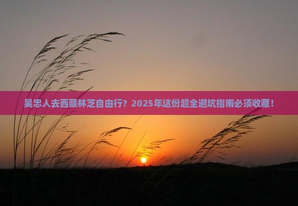 吴忠到西藏林芝自由行