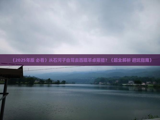 石河子去西藏羊卓雍措必去地