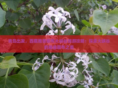 青岛到西藏雅鲁藏布大峡谷自由行