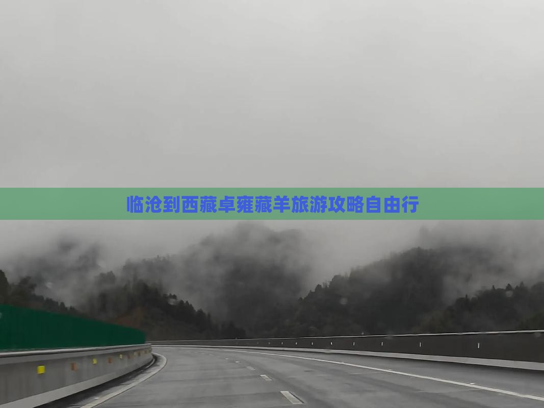 临沧去西藏羊卓雍措自由团