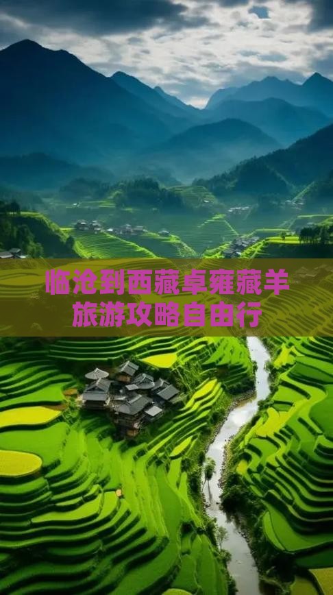 临沧去西藏羊卓雍措自由团