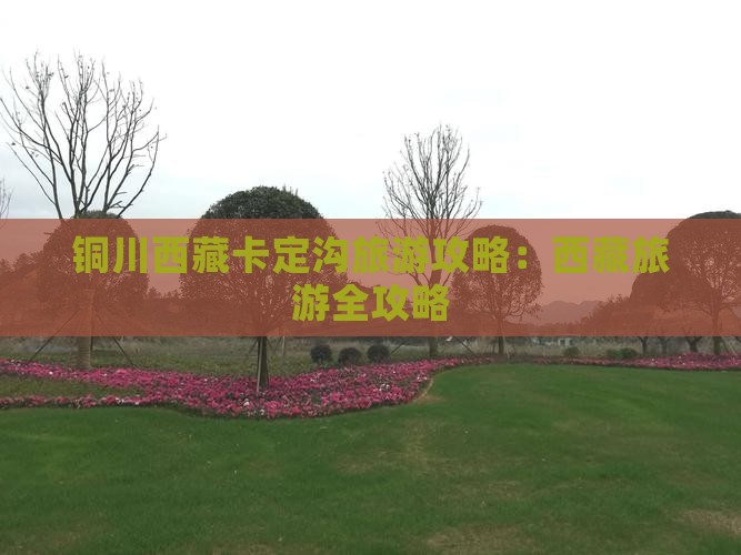 铜川去西藏卡定沟旅游