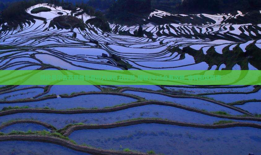 呼伦贝尔去西藏雅鲁藏布大峡谷五日游