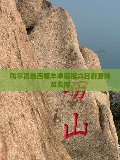 哈尔滨去西藏羊卓雍措六日游