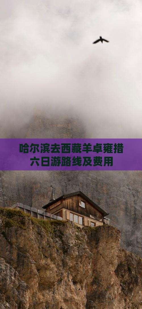 哈尔滨去西藏羊卓雍措六日游