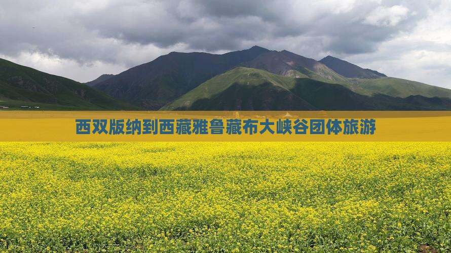 西双版纳去西藏雅鲁藏布大峡谷团体旅游